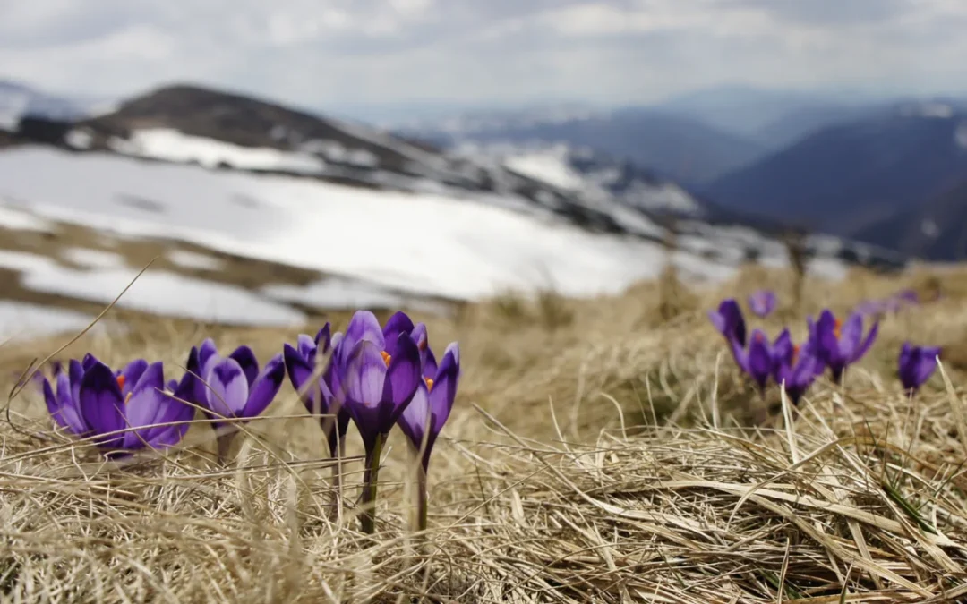 A Time for Rest and Renewal